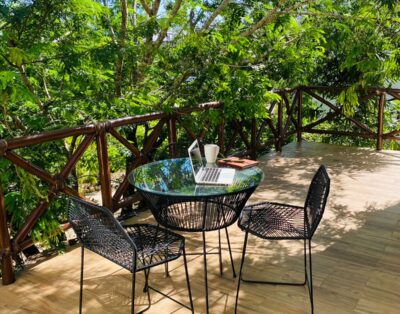 Cozy 1BR/1BA apt. in a jungle paradise setting.