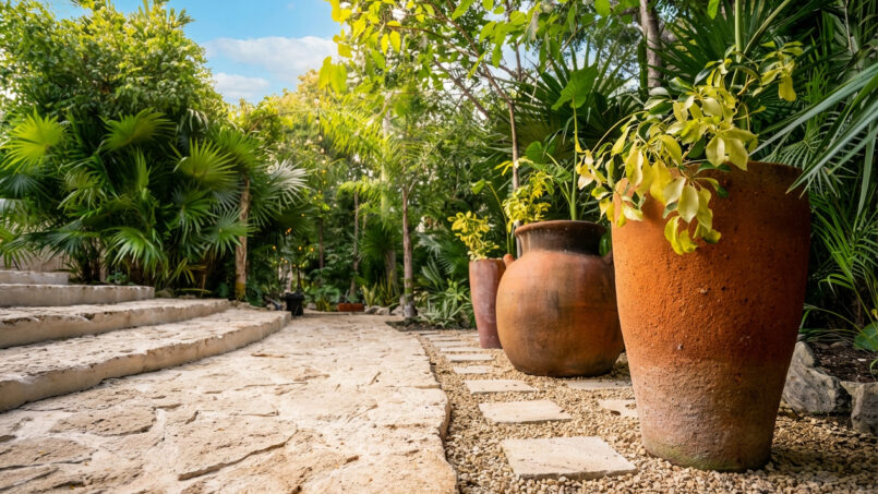 Tropical garden path at ARKAH
